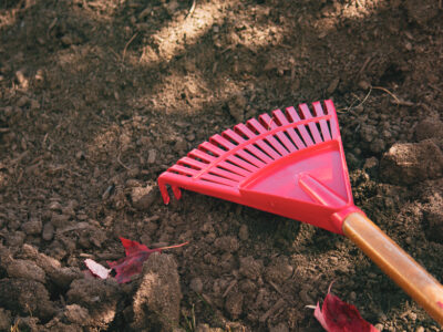 rake in dirt