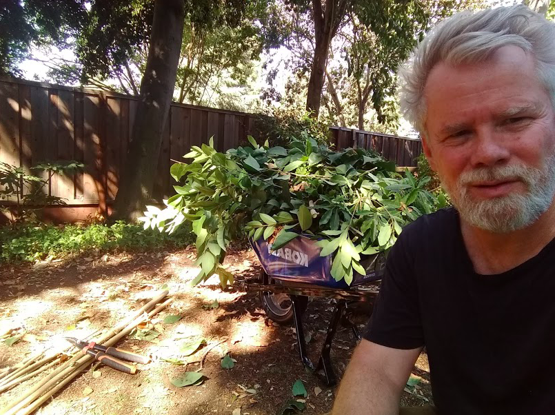 Thinning brush in our common area. Photo by Neal Gorenflo. 