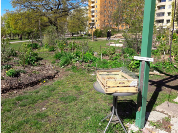 One of Stockholm’s new urban gardening commons
