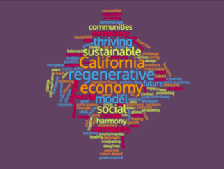 Doughnut Inspired Word Cloud. Credit: doughnuteconomics.org