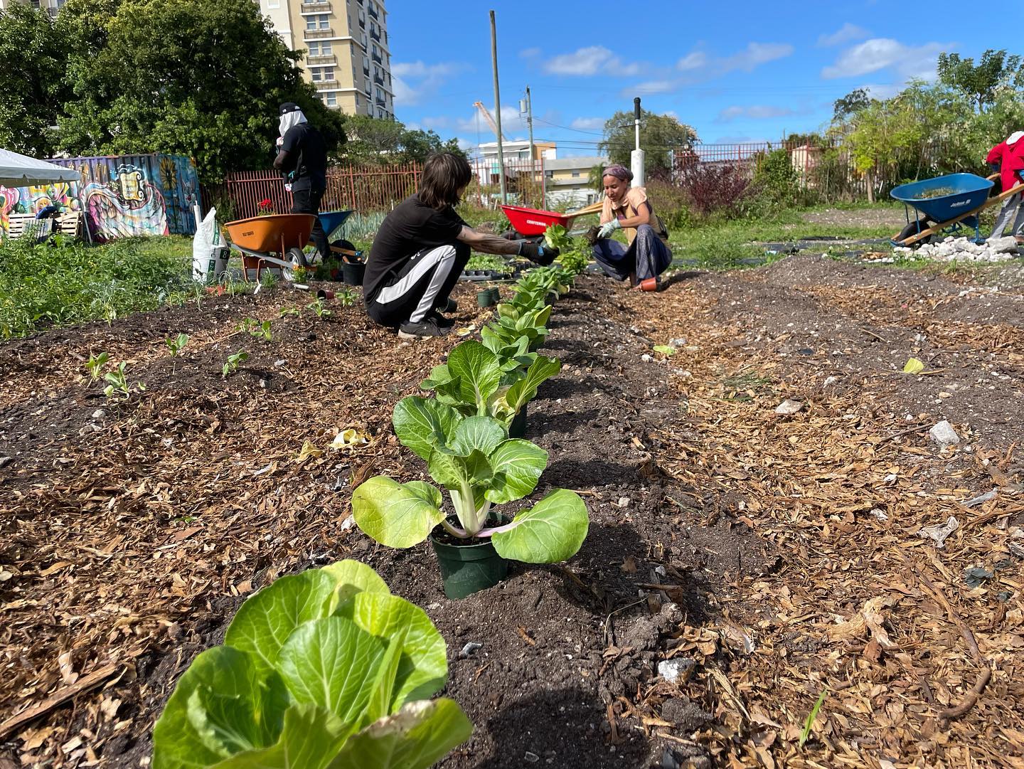 Green Haven volunteers prepare for the new planting season.