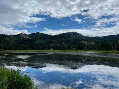 Introdcution to the Next Economy MBA Reflection