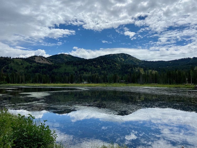 Introdcution to the Next Economy MBA Reflection