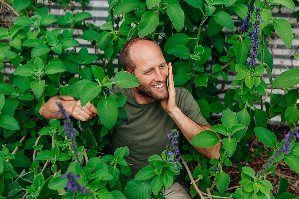 Meet the Toilet Paper Plant - Robin Greenfield