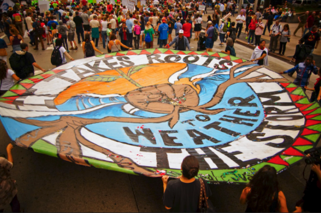 It Takes Roots to Weather the Storm | Overpass Light Brigade