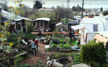 Still from the response film in Puerto Rico