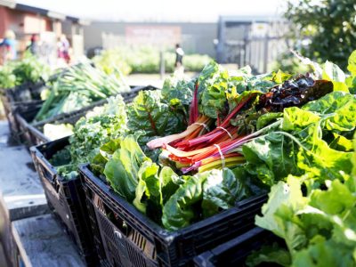 Urban Adamah Free Farm Stand