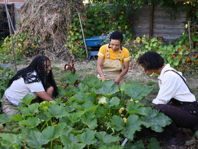 Feed Black Futures staff members Salem, Ali, and Sophi, in a community garden in Oakland, CA