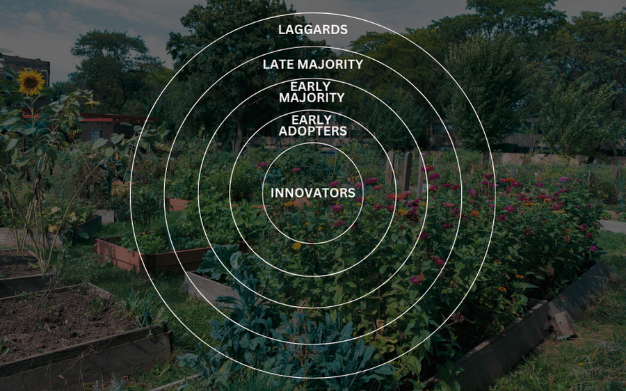Diffusion of Innovations Theory, envisioned as a ripple pattern.