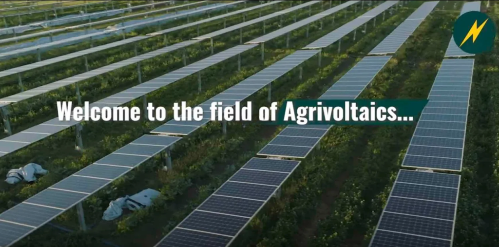 Agrivoltaics Article Header