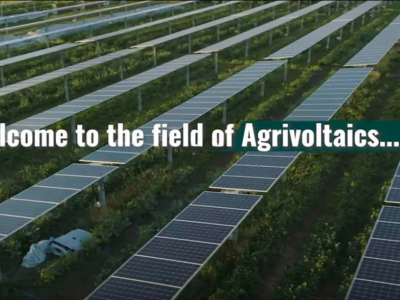 Agrivoltaics Article Header
