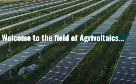 Agrivoltaics Article Header